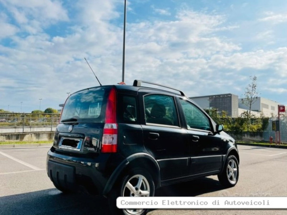 Fiat Panda 1.2 Climbing Natural Power (4)