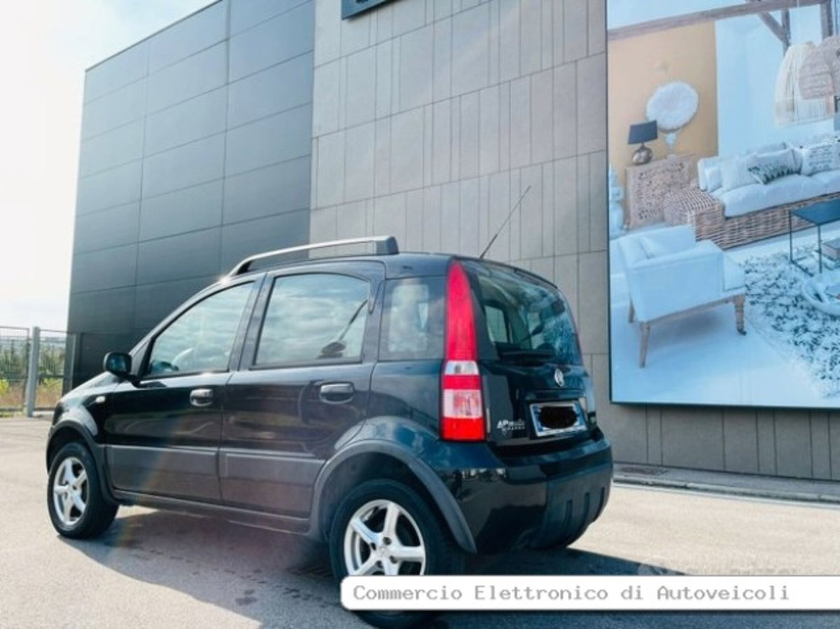 Fiat Panda 1.2 Climbing Natural Power (5)