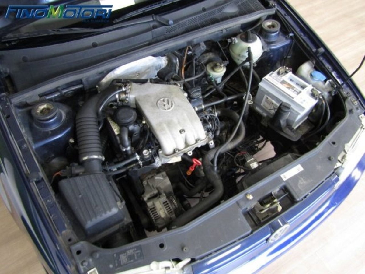 Volkswagen Golf Cabrio 1.6 cat Avantgarde (15)