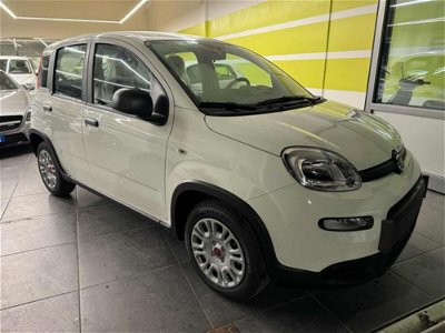 Fiat Panda 1.0 FireFly S&S Hybrid my 23 nuova