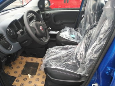Fiat Panda 1.0 firefly hybrid s&s 70cv (6)