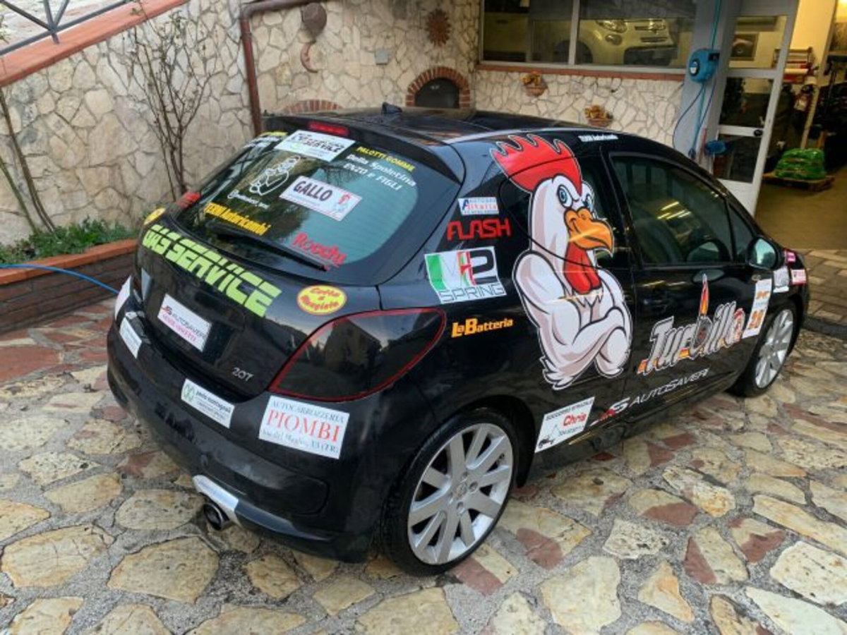 Peugeot 207 THP 150CV 3p. Féline (5)