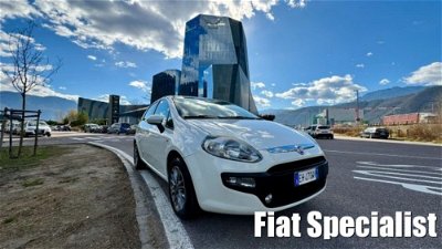 Fiat Punto Evo 1.2 5 porte S&S 150° usata