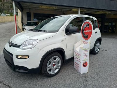 Fiat Panda 1.0 FireFly S&S Hybrid City Life  nuova