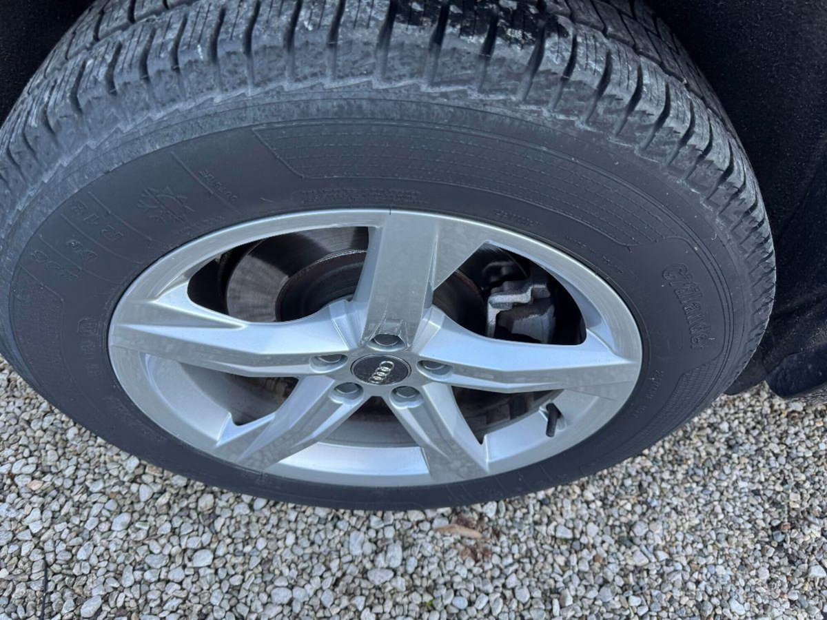 Audi Q5 2.0 TDI 163 CV quattro S tronic Advanced Plus (13)