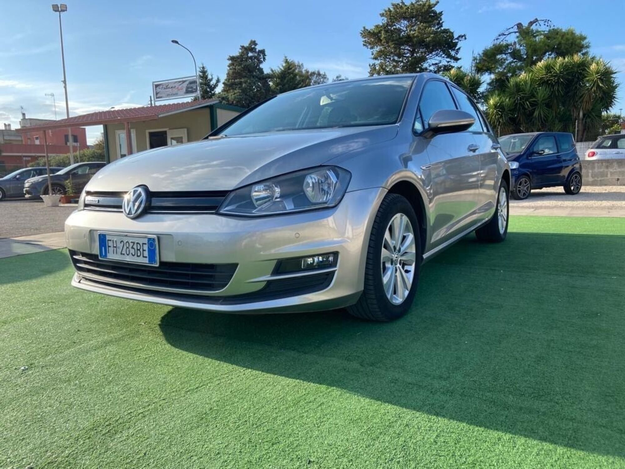 Volkswagen Golf 1.4 TGI 5p. Trendline BlueMotion 