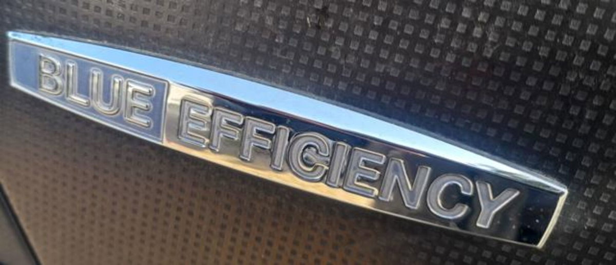 Mercedes-Benz Classe B 180 NGT BlueEFFICIENCY Executive (13)