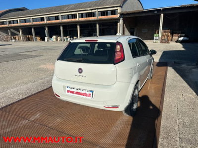 Fiat Punto 1.3 MJT II 75 CV 5 porte Street (4)