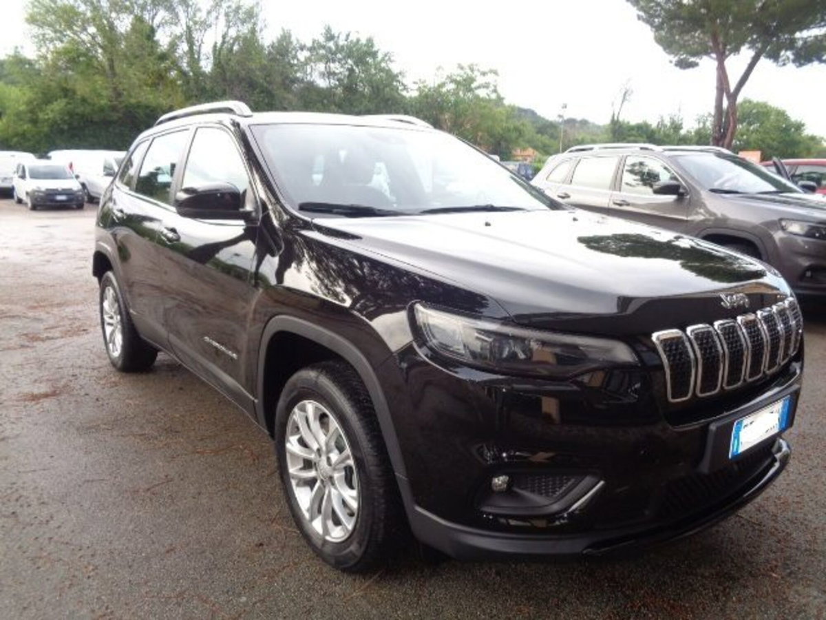 Jeep Cherokee 2.2 Mjt AWD Active Drive I Longitude (4)