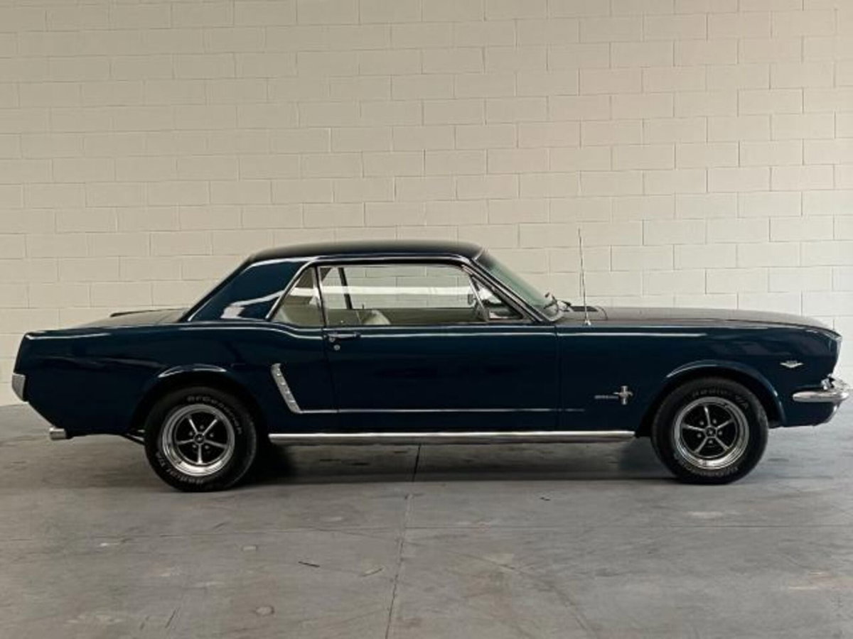 Ford Mustang Coupé Fastback 5.0 V8 Mach 1 (17)