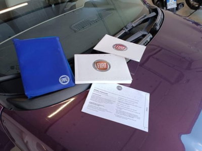 Fiat Panda 1.3 MJT S&S 4x4 (20)