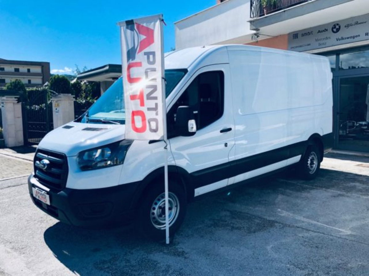 Ford Transit Furgone 350 2.0TDCi EcoBlue 170 aut. PL-TM Furgone Entry (3)