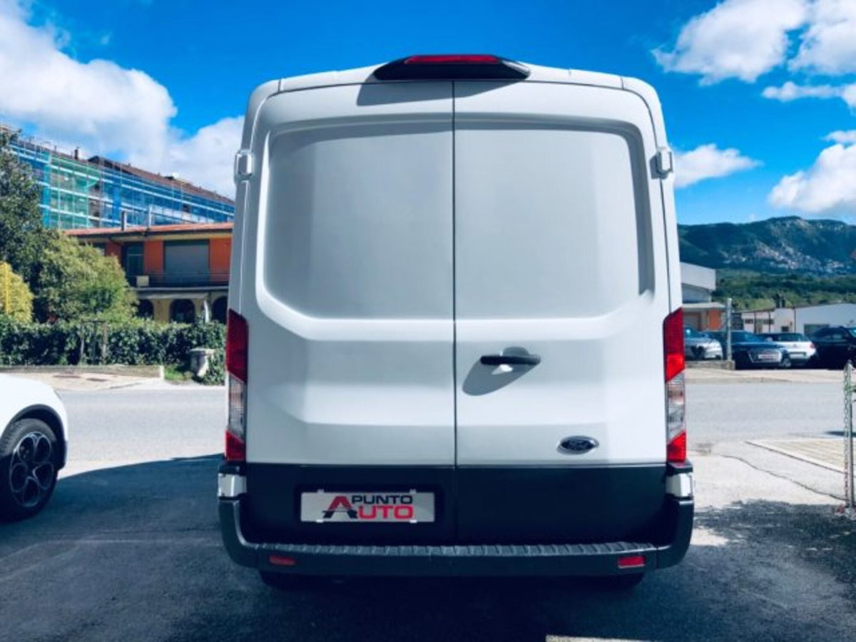 Ford Transit Furgone 350 2.0TDCi EcoBlue 170 aut. PL-TM Furgone Entry (5)