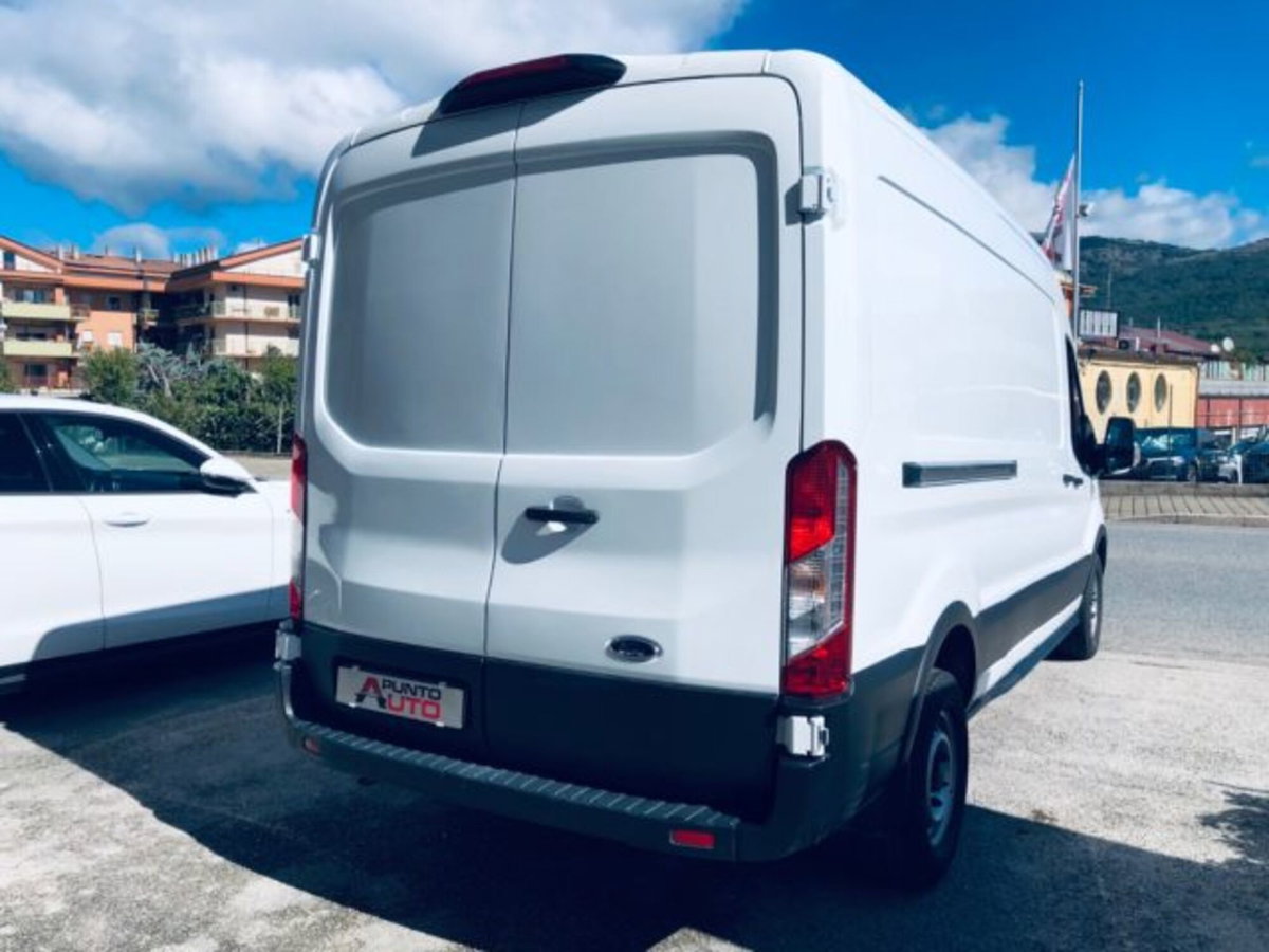 Ford Transit Furgone 350 2.0TDCi EcoBlue 170 aut. PL-TM Furgone Entry (7)