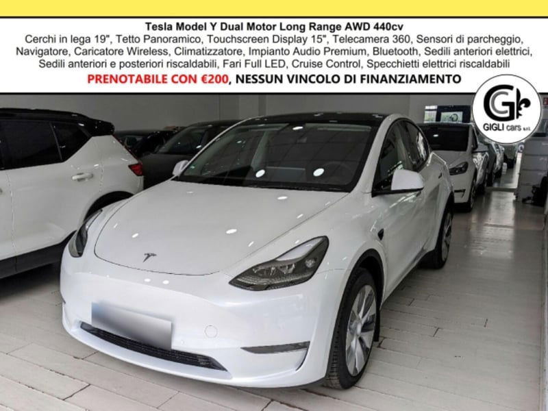 Tesla Model Y Long Range Dual Motor awd