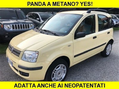 Fiat Panda 1.2 Active Natural Power