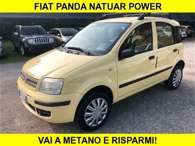 Fiat Panda 1.2 Active Natural Power usata