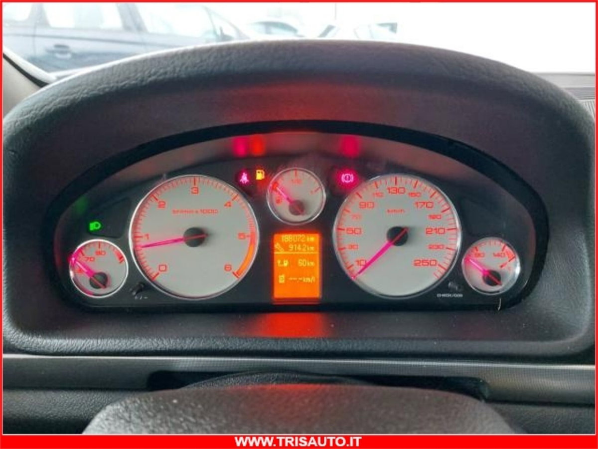 Peugeot 407 SW 2.0 HDi Premium (13)