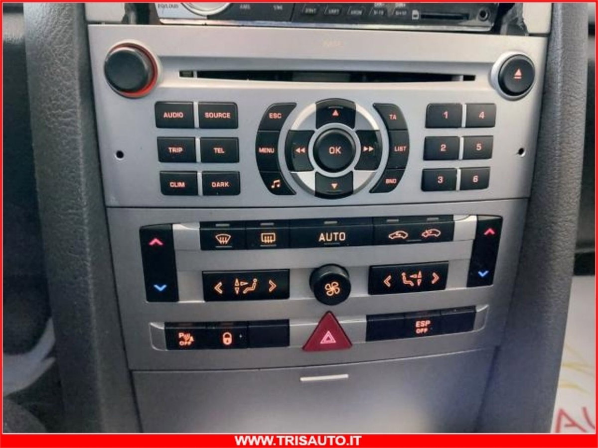 Peugeot 407 SW 2.0 HDi Premium (14)