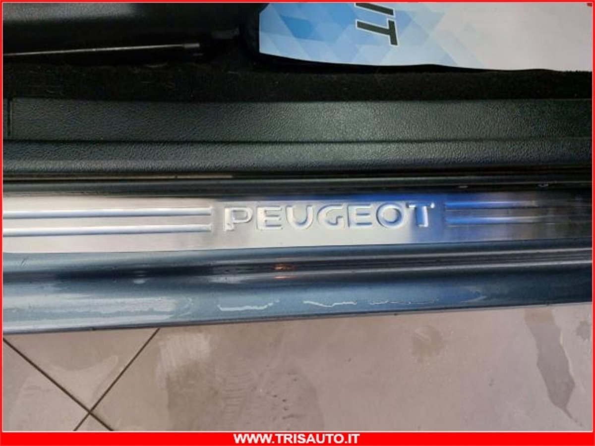 Peugeot 407 SW 2.0 HDi Premium (18)