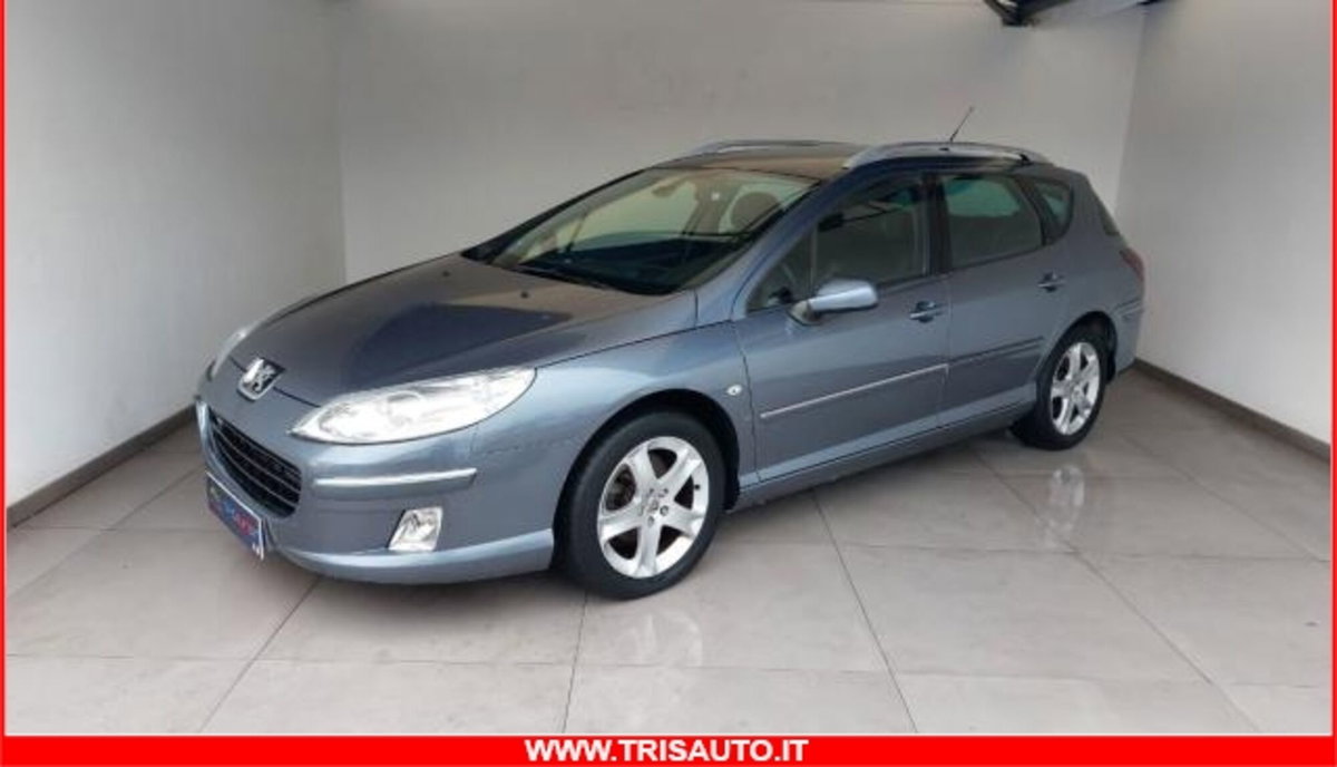 Peugeot 407 SW 2.0 HDi Premium (3)