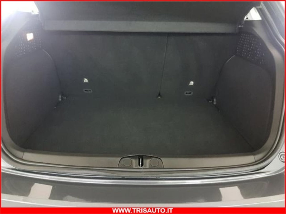 Fiat 500X 1.3 MultiJet 95 CV Business (18)