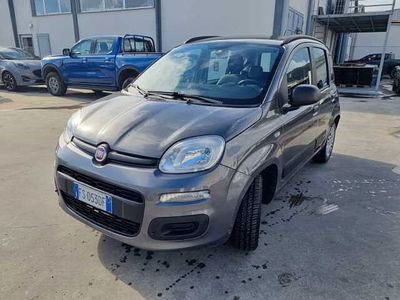 Fiat Panda 1.2 Pop  usata