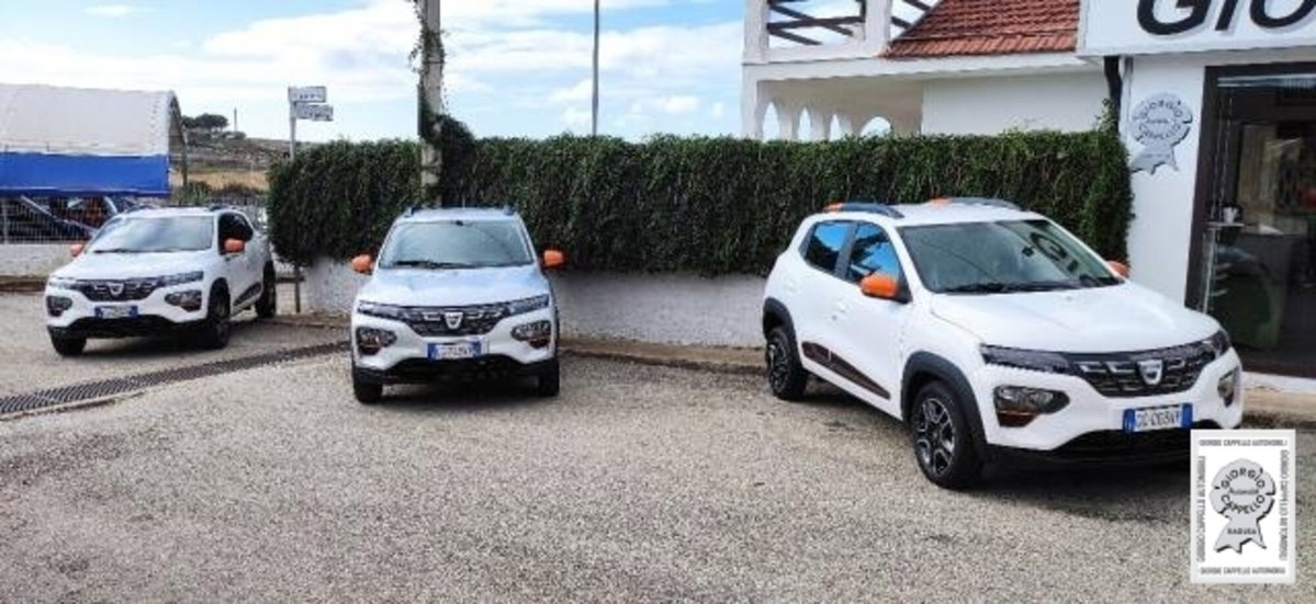 Dacia Spring Comfort Plus Electric 45 (3)