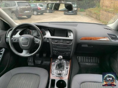 Audi A4 Avant 3.0 V6 TDI F.AP. quattro (14)