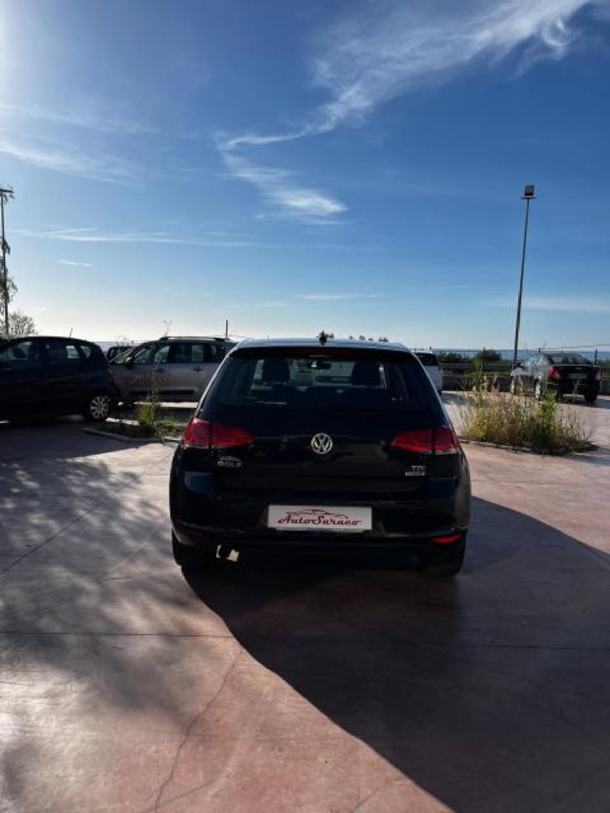 Volkswagen Golf 1.6 TDI 110 CV 5p. Business BlueMotion Technology (2)