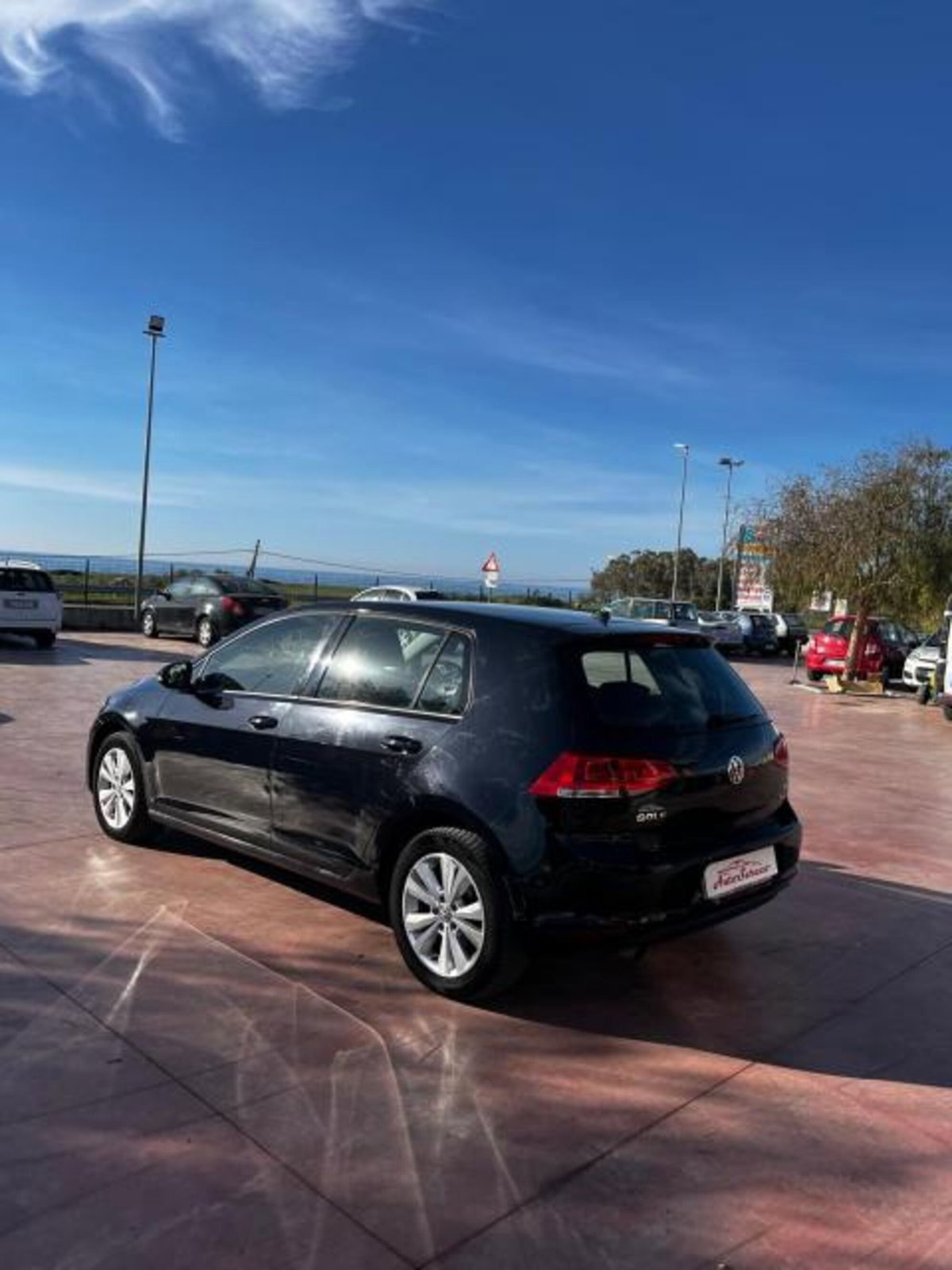 Volkswagen Golf 1.6 TDI 110 CV 5p. Business BlueMotion Technology (3)