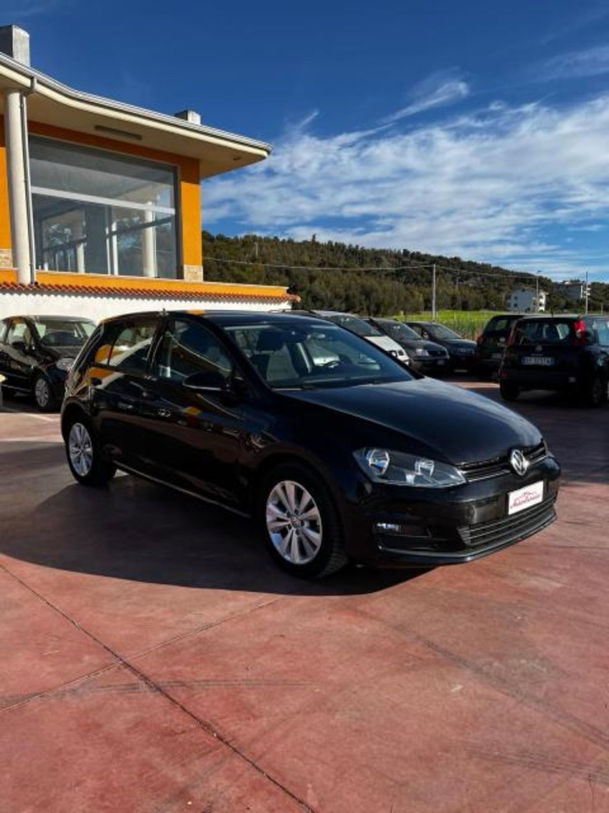 Volkswagen Golf 1.6 TDI 110 CV 5p. Business BlueMotion Technology (4)