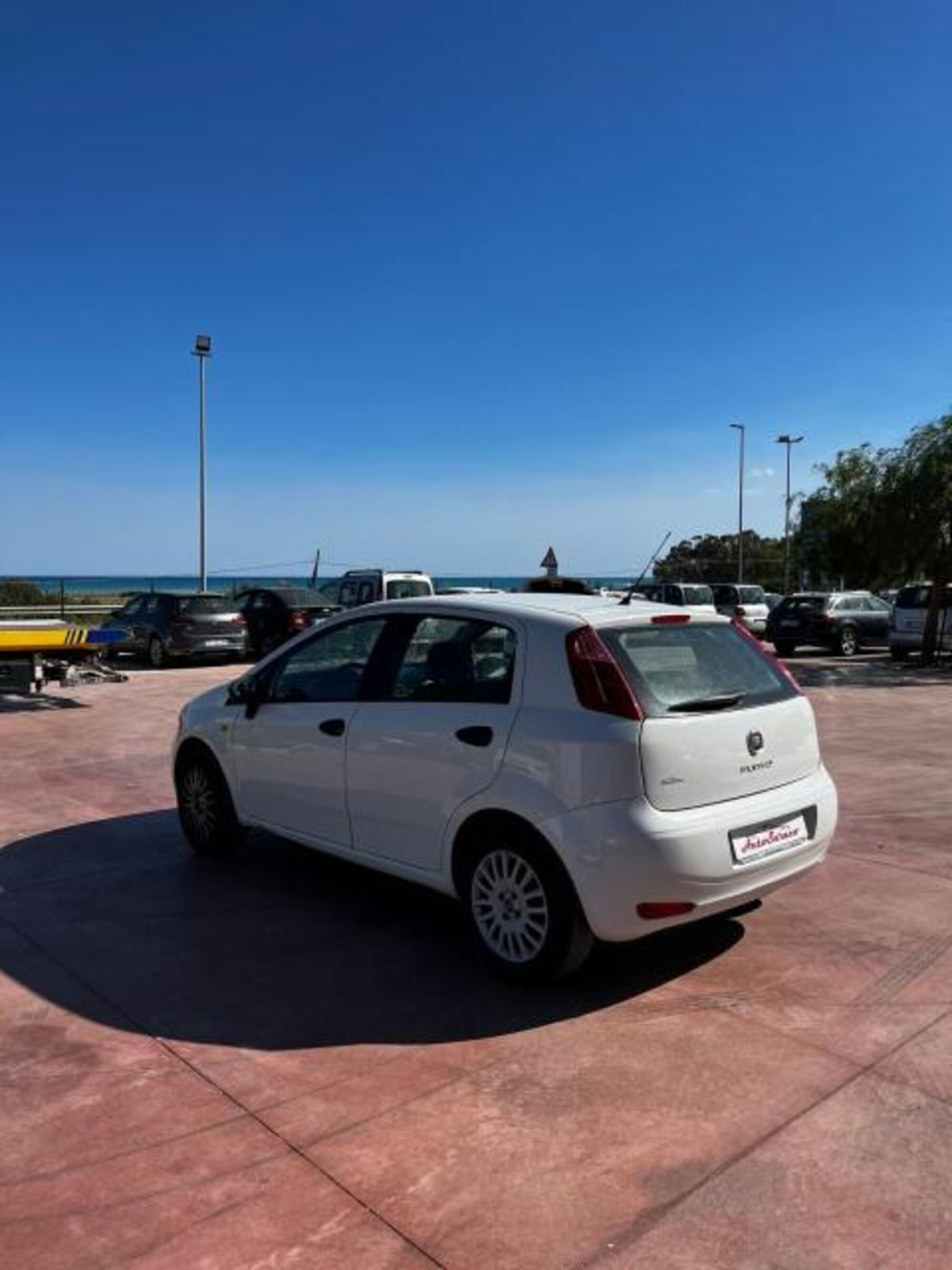 Fiat Punto 1.3 MJT II 75 CV 5 porte Young (3)