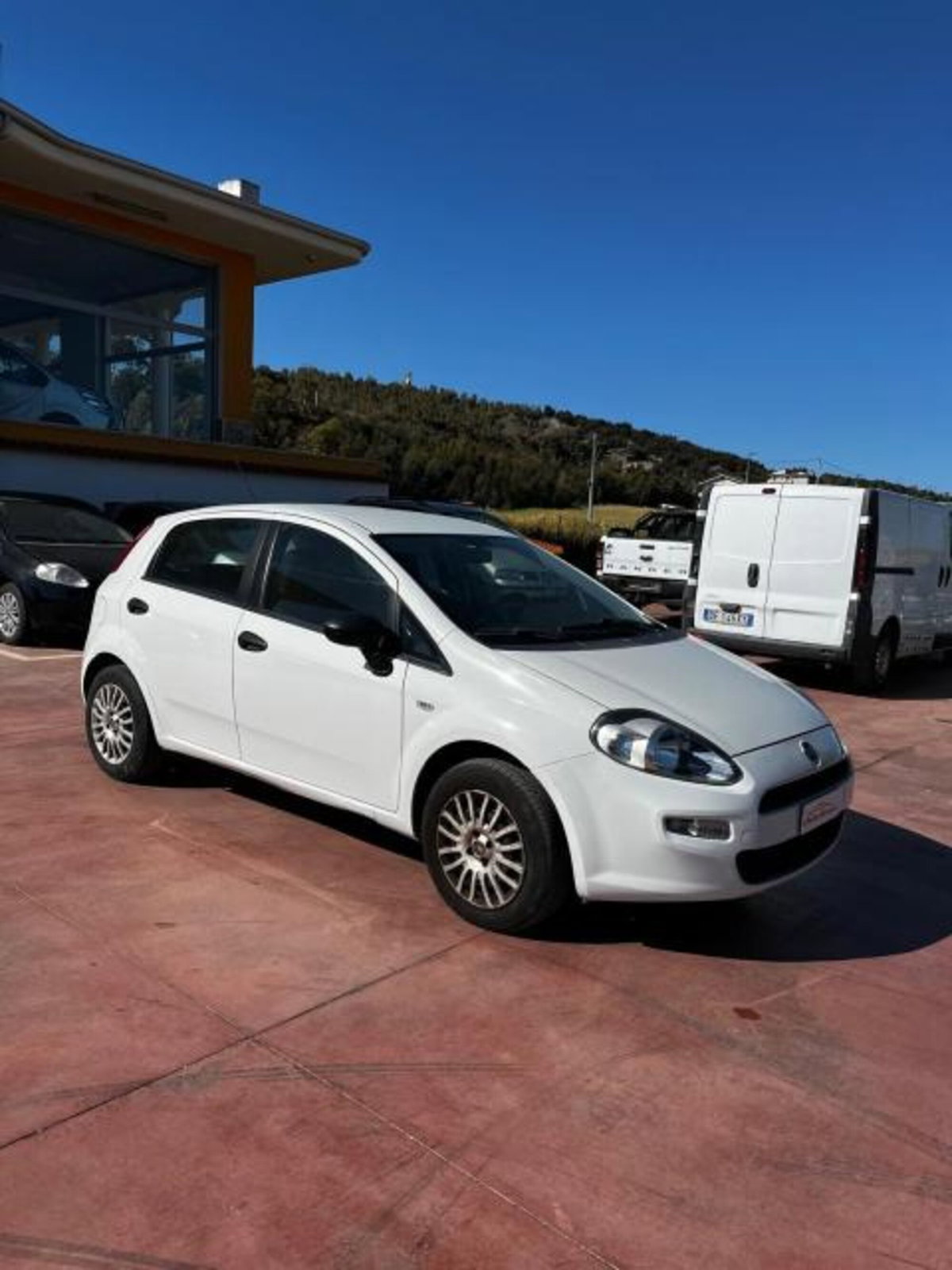 Fiat Punto 1.3 MJT II 75 CV 5 porte Young (4)