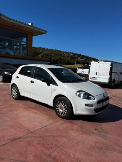 Fiat Punto 1.3 MJT II 75 CV 5 porte Young (4)