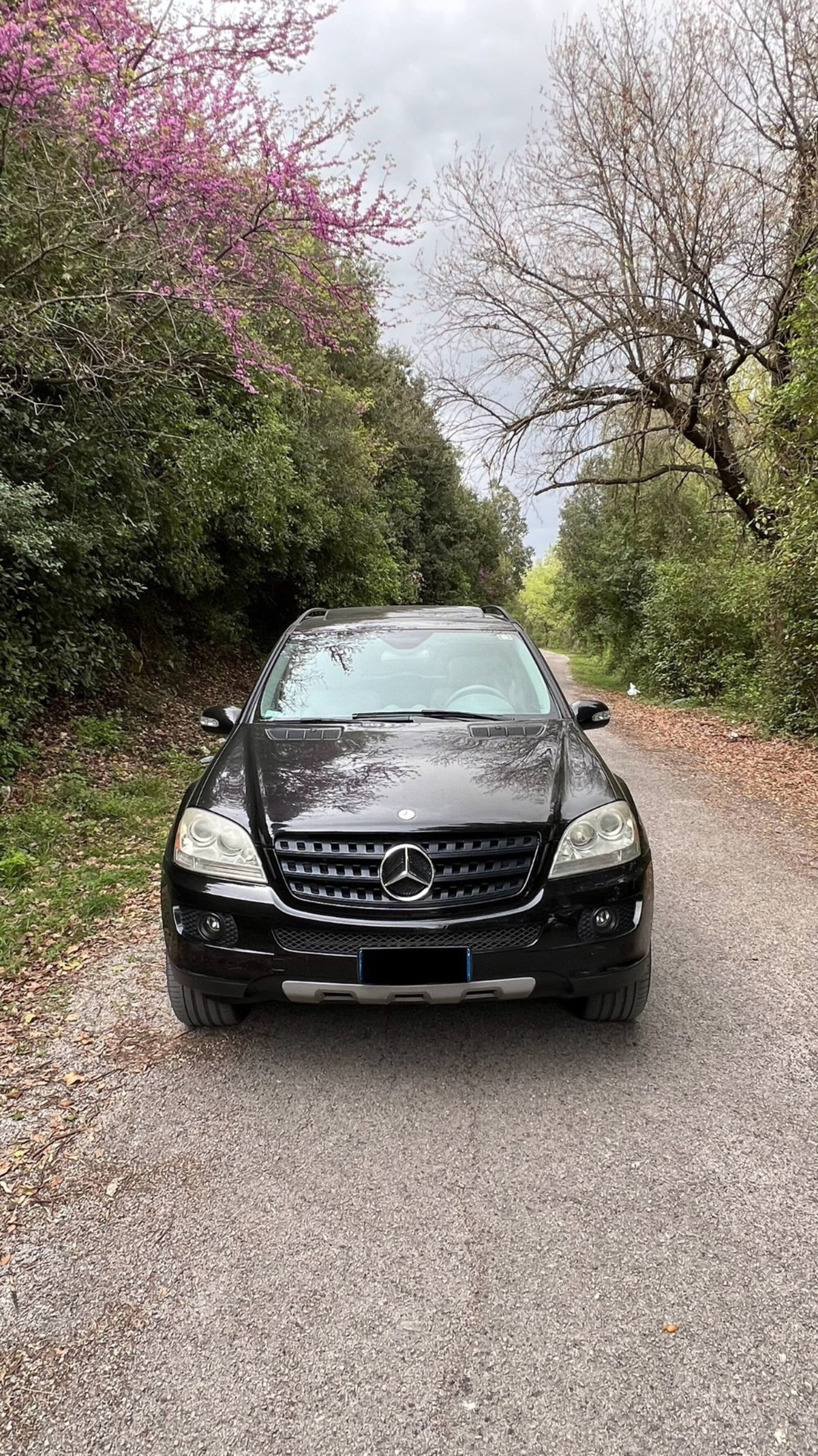 Mercedes-Benz Classe ML 350 Chrome (2)