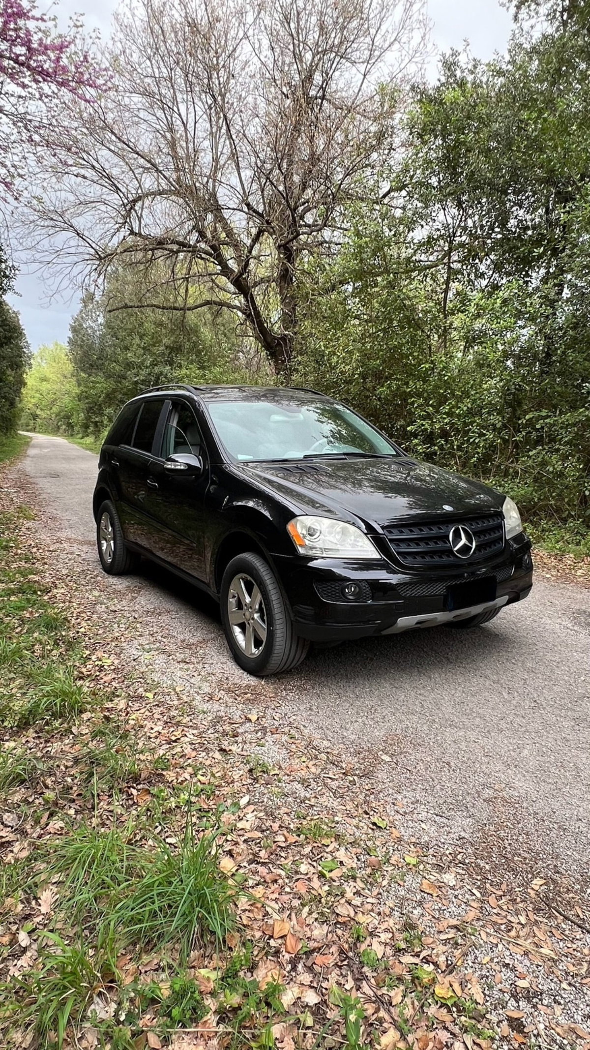Mercedes-Benz Classe ML 350 Chrome (3)