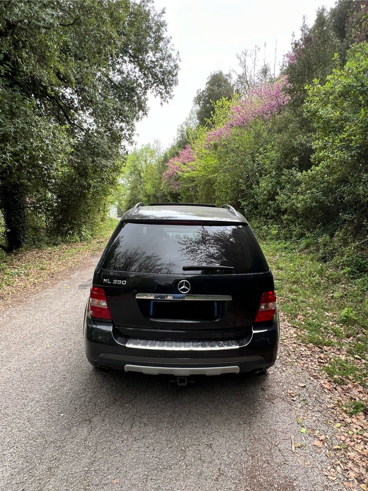Mercedes-Benz Classe ML 350 Chrome (5)