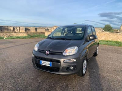 Fiat Panda 1.2 Easy usata