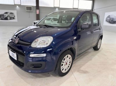 Fiat Panda 1.2 Easy  usata