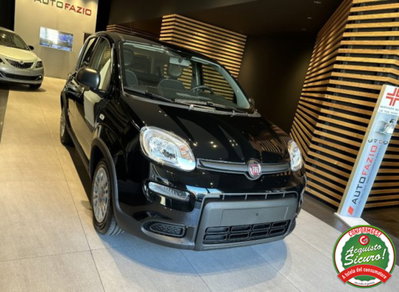 Fiat Panda 1.0 firefly hybrid s&s 70cv 5p.ti (4)