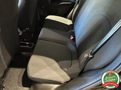 Fiat Panda 1.0 firefly hybrid s&s 70cv 5p.ti (8)