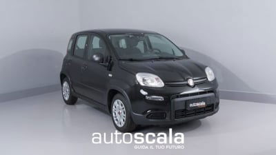 Fiat Panda 1.0 firefly hybrid s&s 70cv 5p.ti nuova