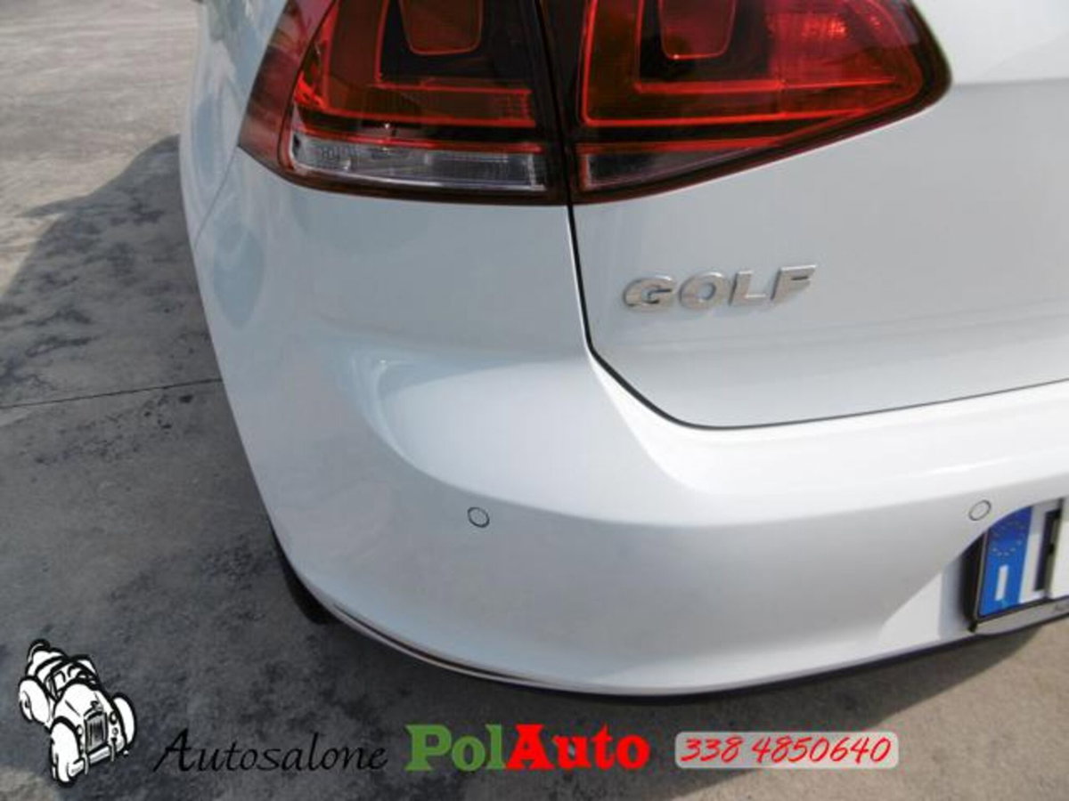 Volkswagen Golf 1.4 TGI 5p. Highline BlueMotion (6)