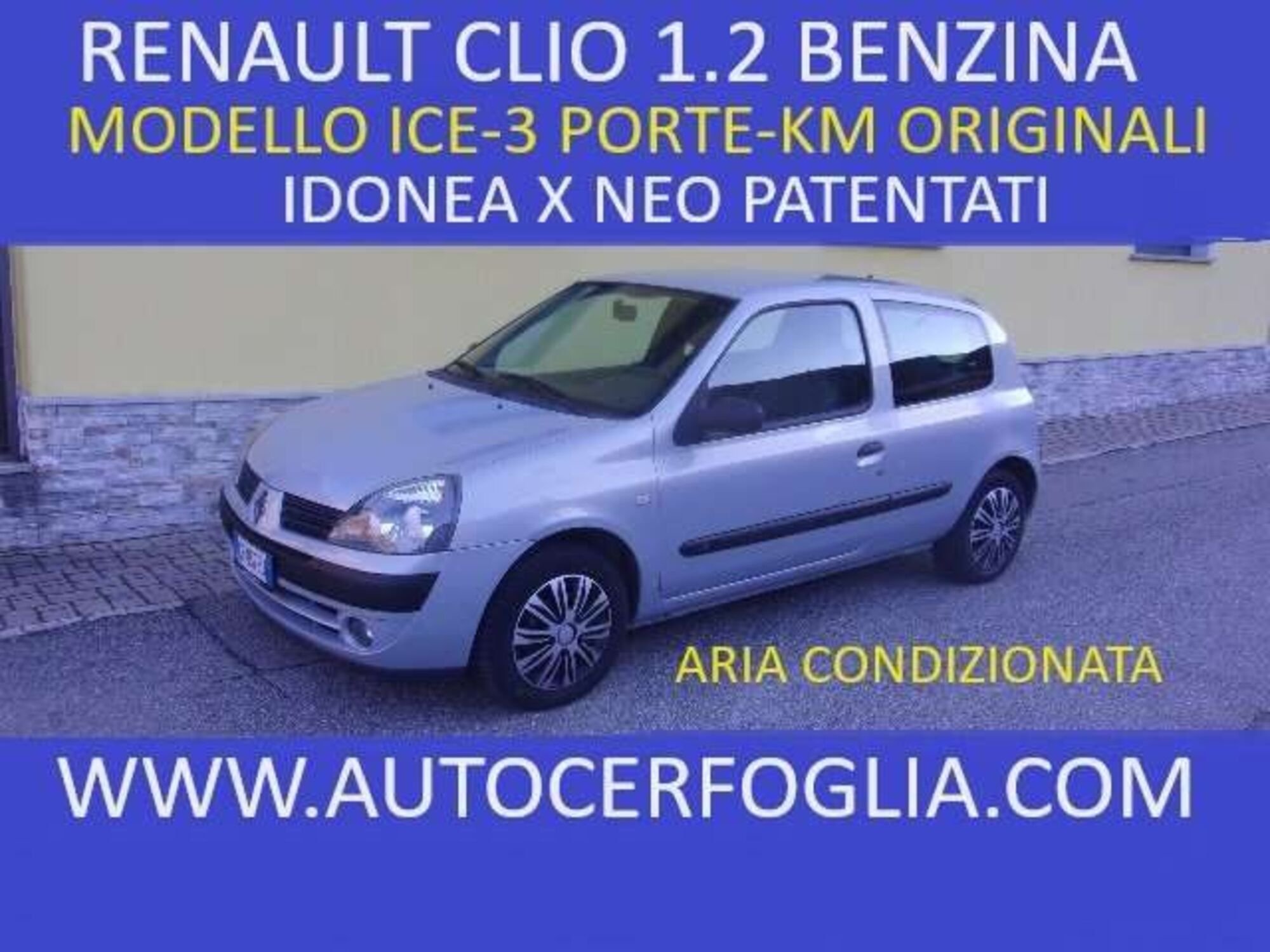 Renault Clio 1.2 cat 3p. Van usato