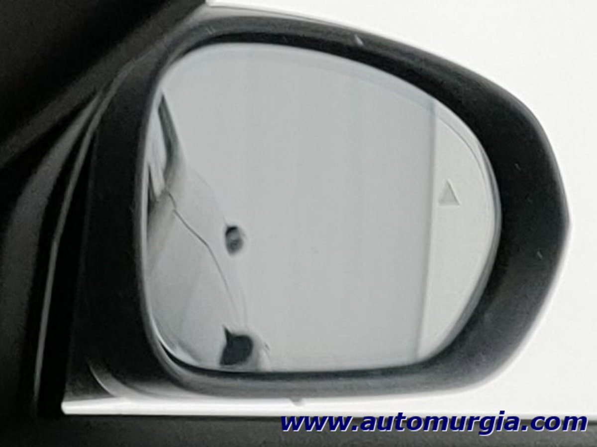 Alfa Romeo Tonale Tonale 1.6 diesel 130 CV TCT6 Ti (18)