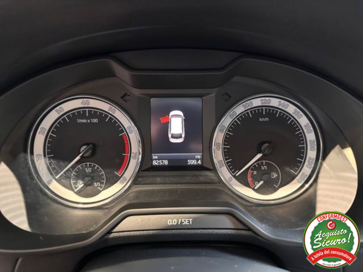 Skoda Octavia Station Wagon 1.5 G-TEC DSG Wagon Executive (20)