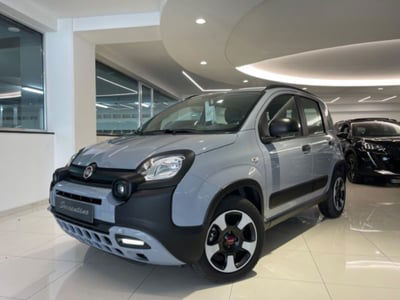Fiat Panda 1.0 FireFly S&S Hybrid City Cross usata