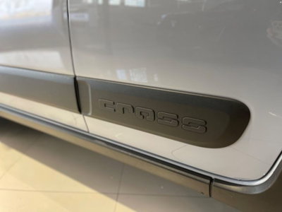 Fiat Panda 1.0 FireFly S&S Hybrid City Cross (12)