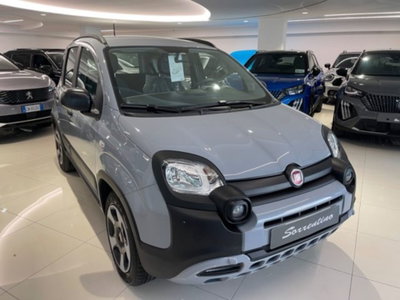 Fiat Panda 1.0 FireFly S&S Hybrid City Cross (2)